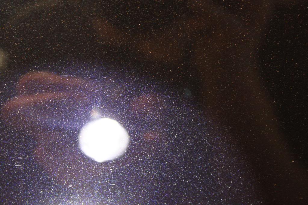 IMG_3818.jpg