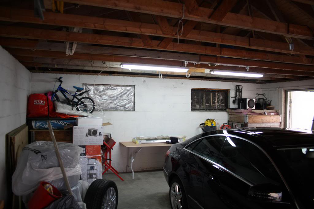 IMG_3952_zps7e719f08.jpg