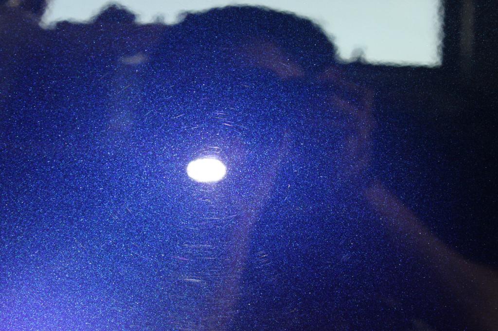 IMG_4126.jpg