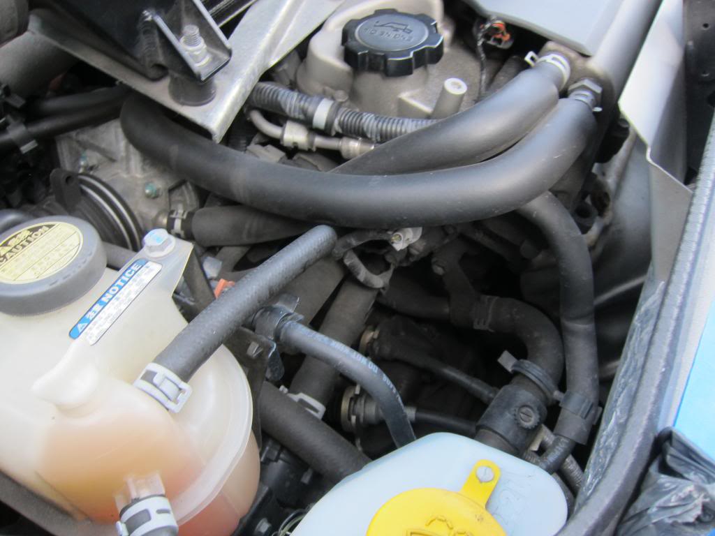 IMG_4432_zpscd86001a.jpg