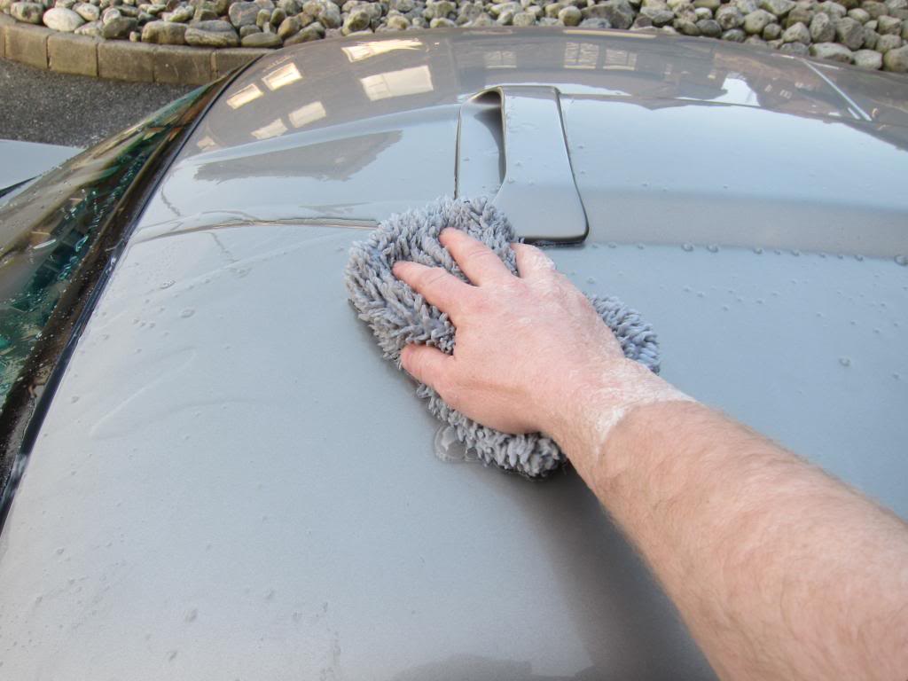 IMG_4465_zps86458f15.jpg