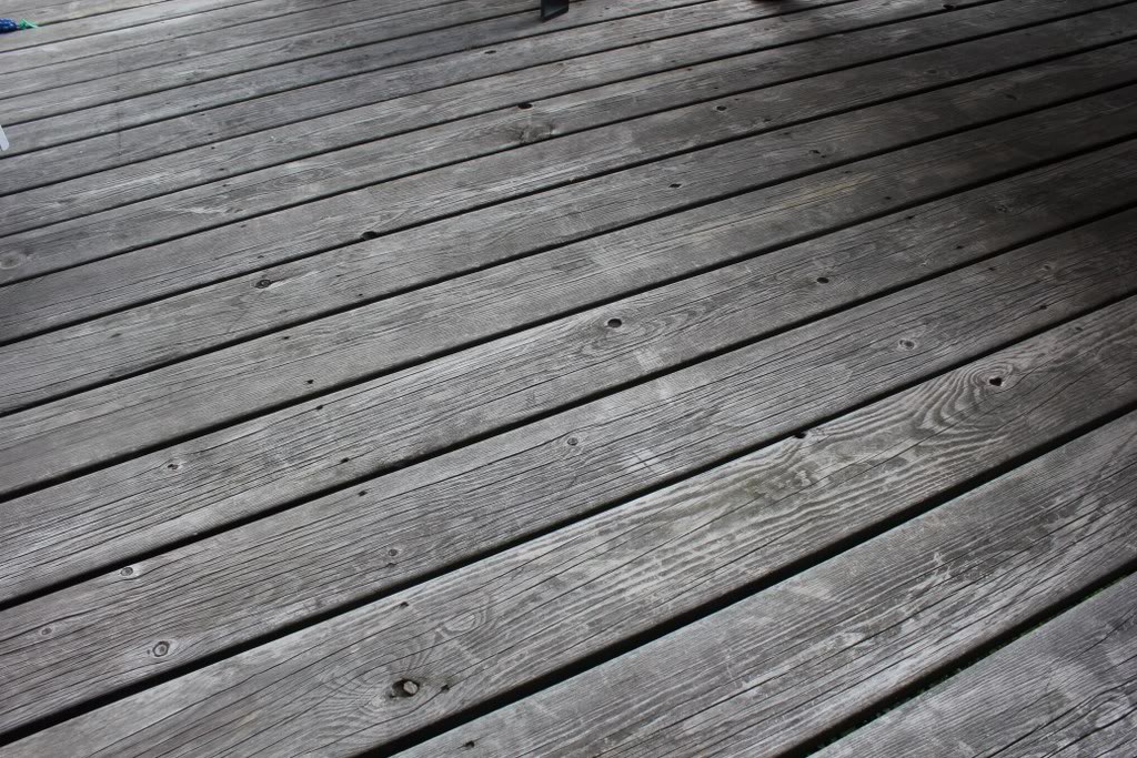 IMG_4550_1024x683.jpg