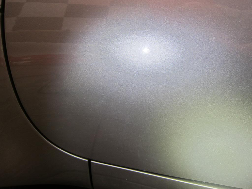 IMG_4557_zpsb9565d45.jpg