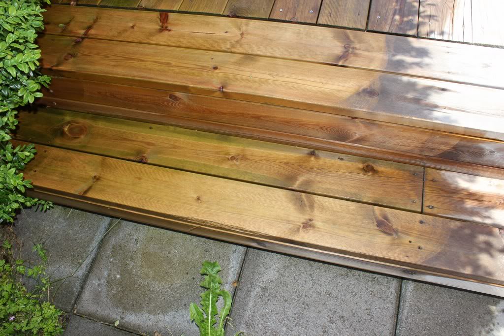 IMG_4587_1024x683.jpg