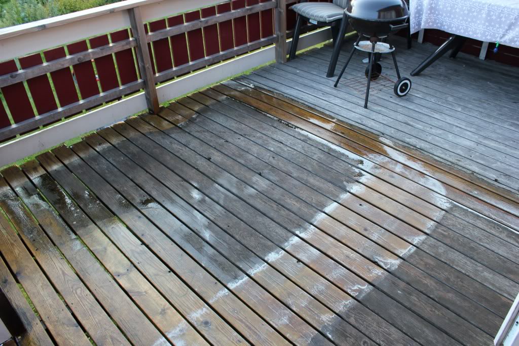 IMG_4603_1024x683.jpg