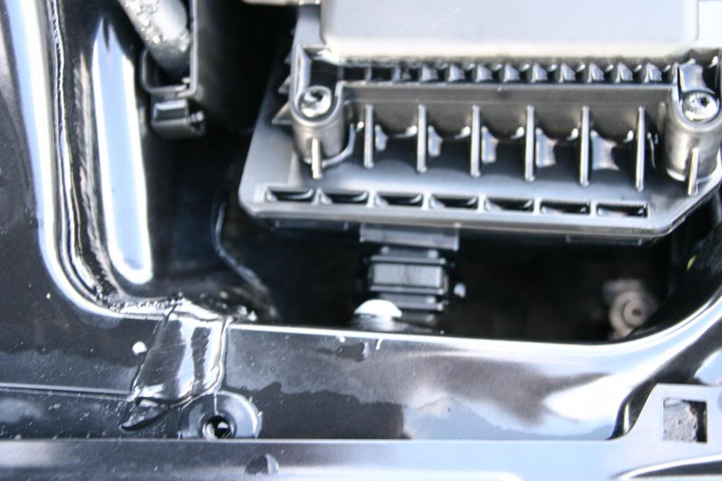IMG_4663.jpg