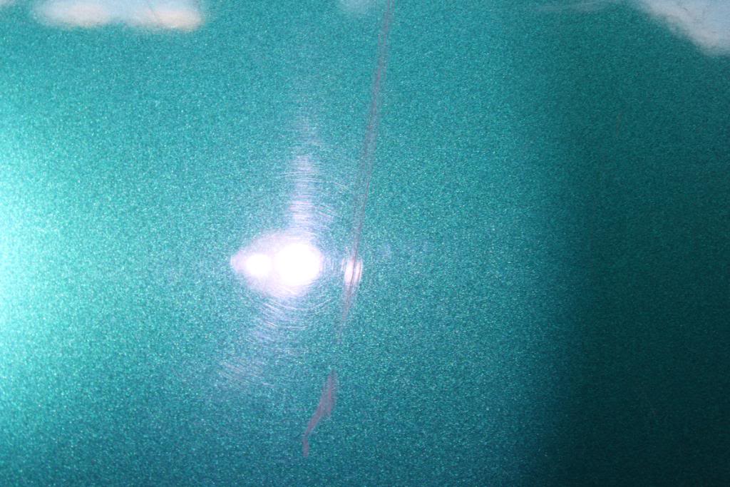 IMG_4727.jpg