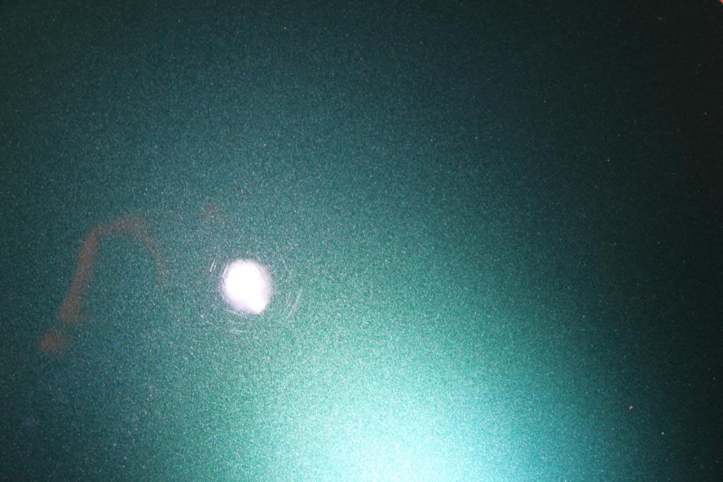 IMG_4729.jpg