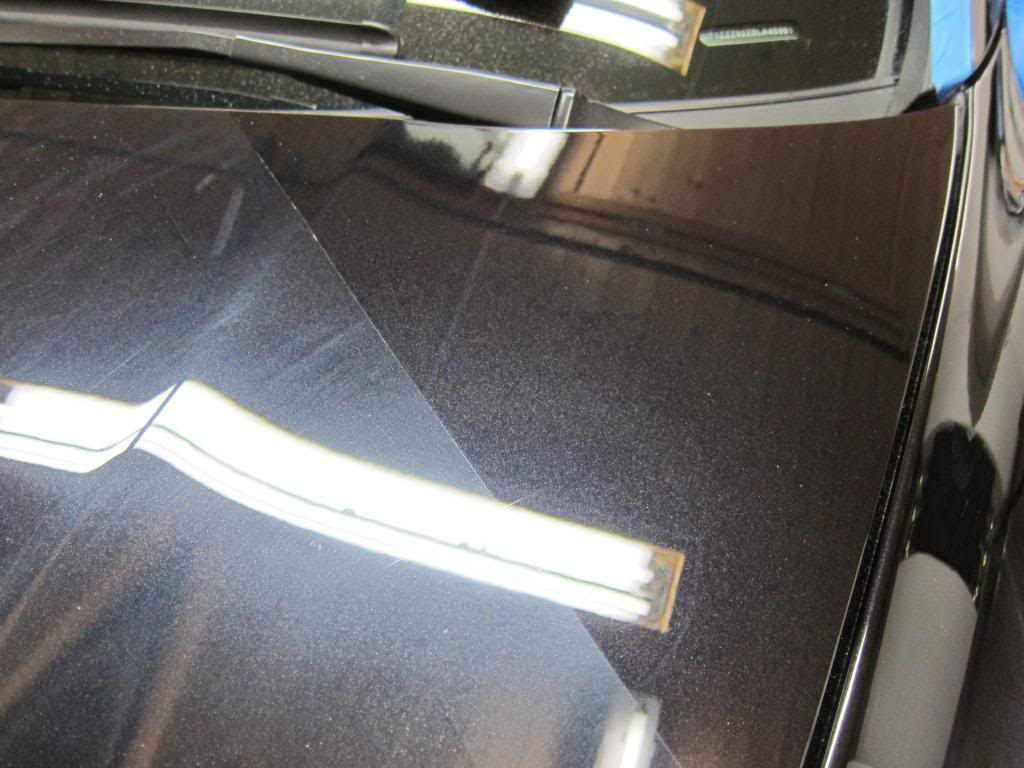IMG_4824_zpsaab518ac.jpg