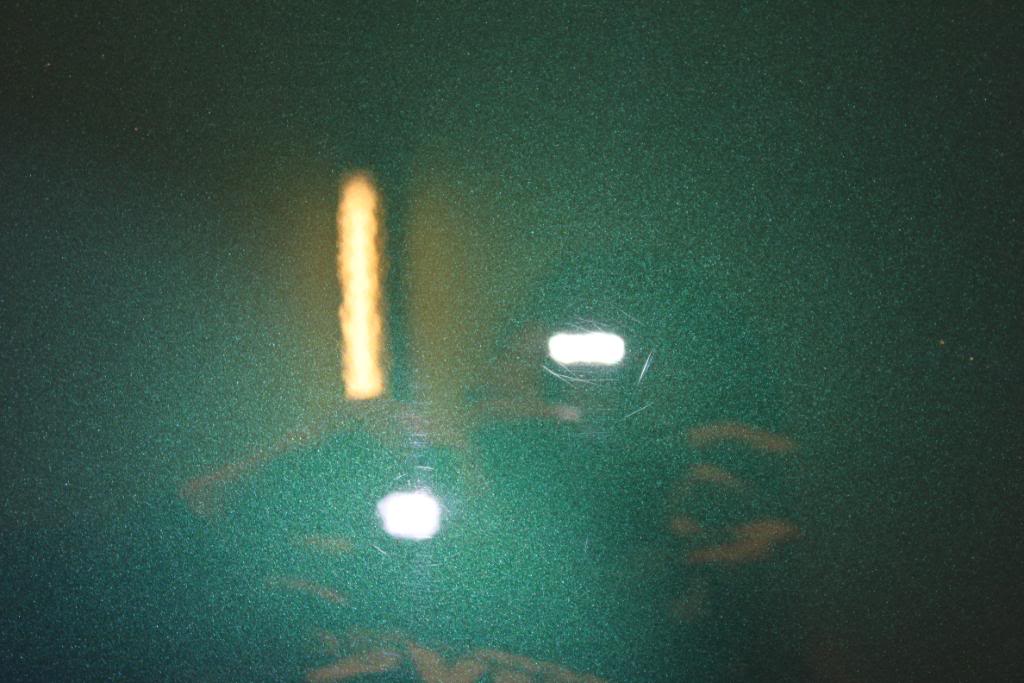 IMG_4905.jpg