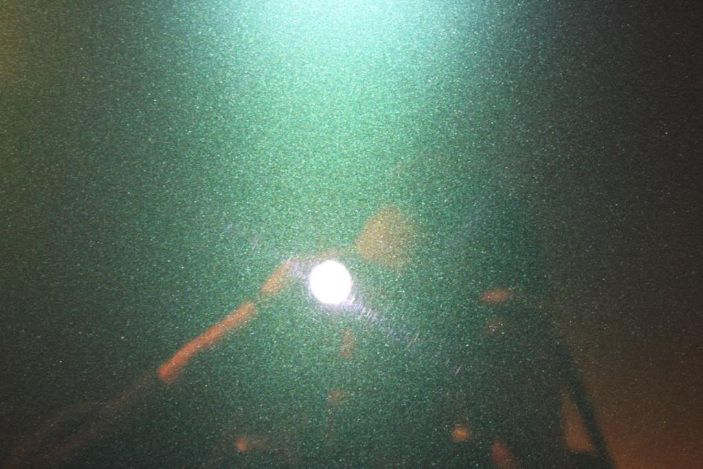 IMG_4907.jpg