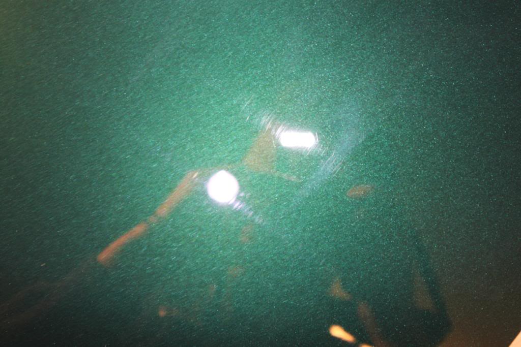 IMG_4908.jpg