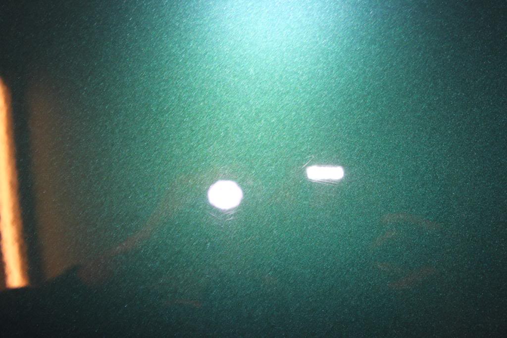 IMG_4913.jpg