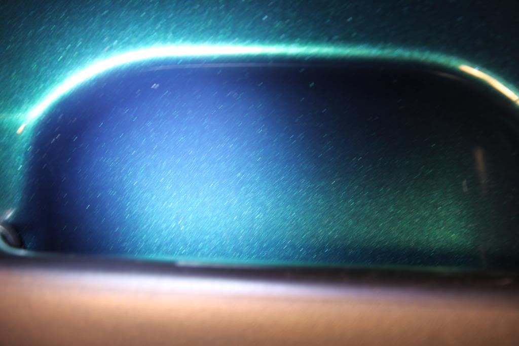 IMG_5021.jpg
