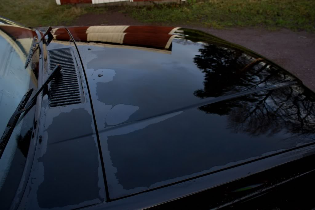 IMG_6841_1024x683.jpg