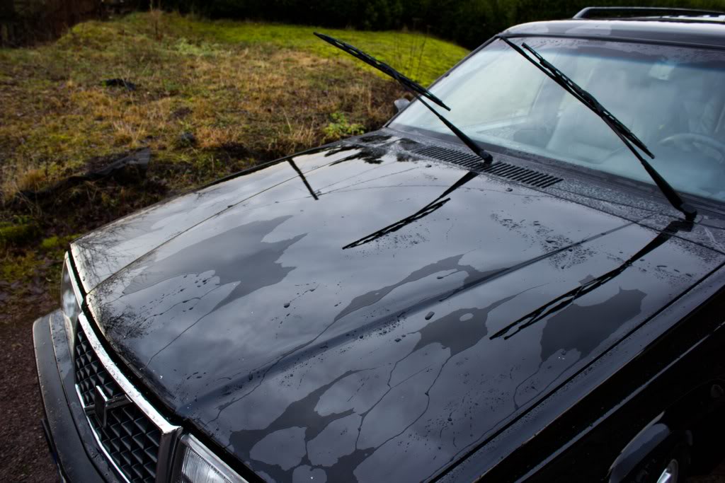 IMG_6860_1024x683.jpg
