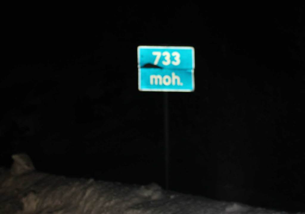 IMG_733moh.jpg