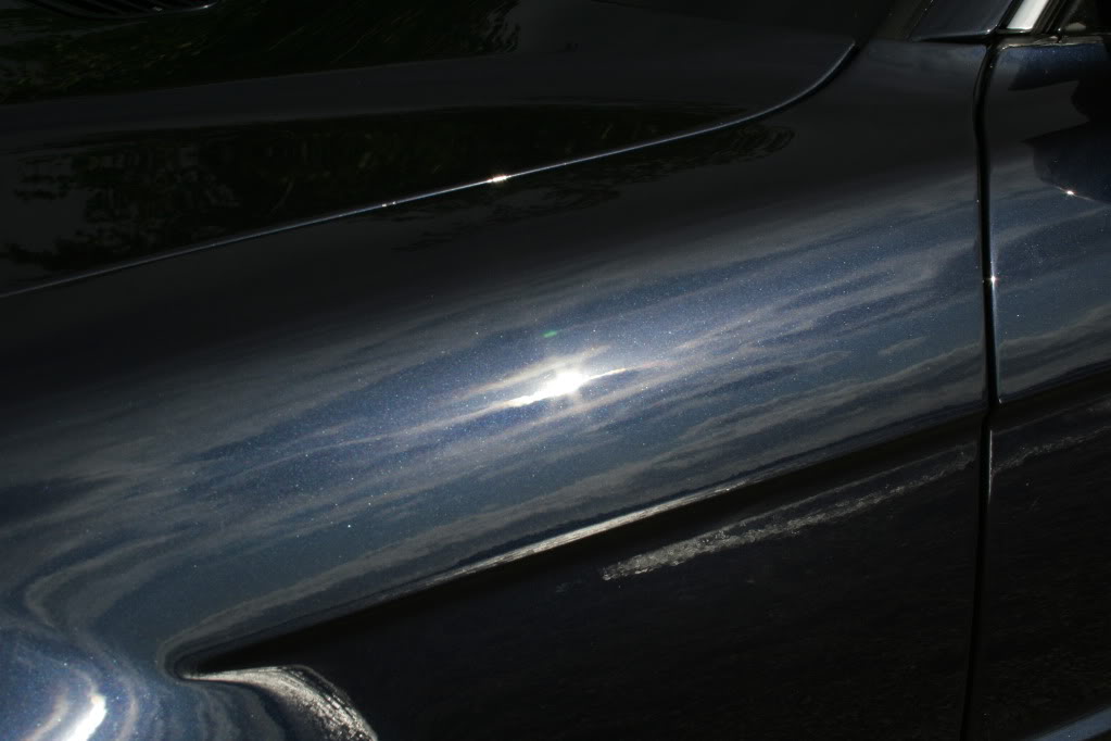 IMG_7837.jpg