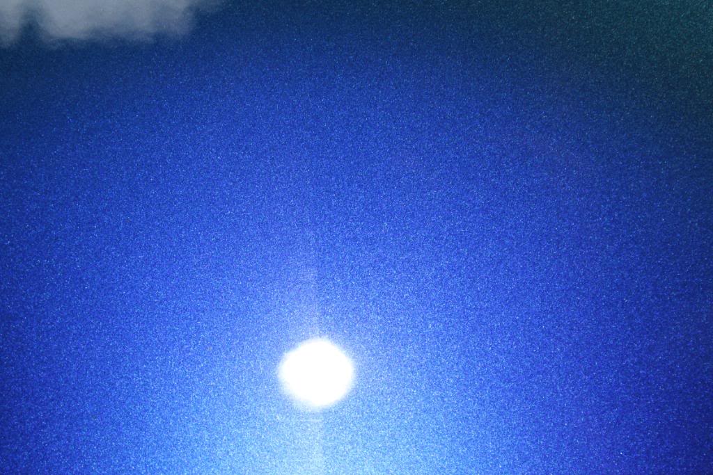 IMG_8280.jpg