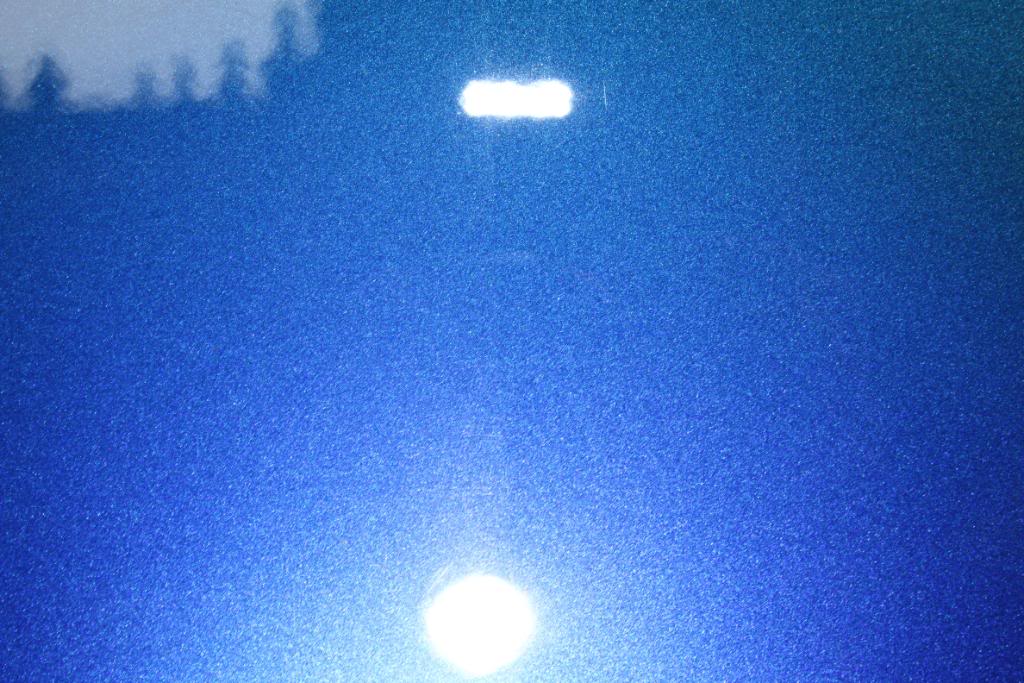 IMG_8281.jpg