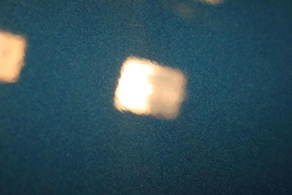 IMG_8282.jpg