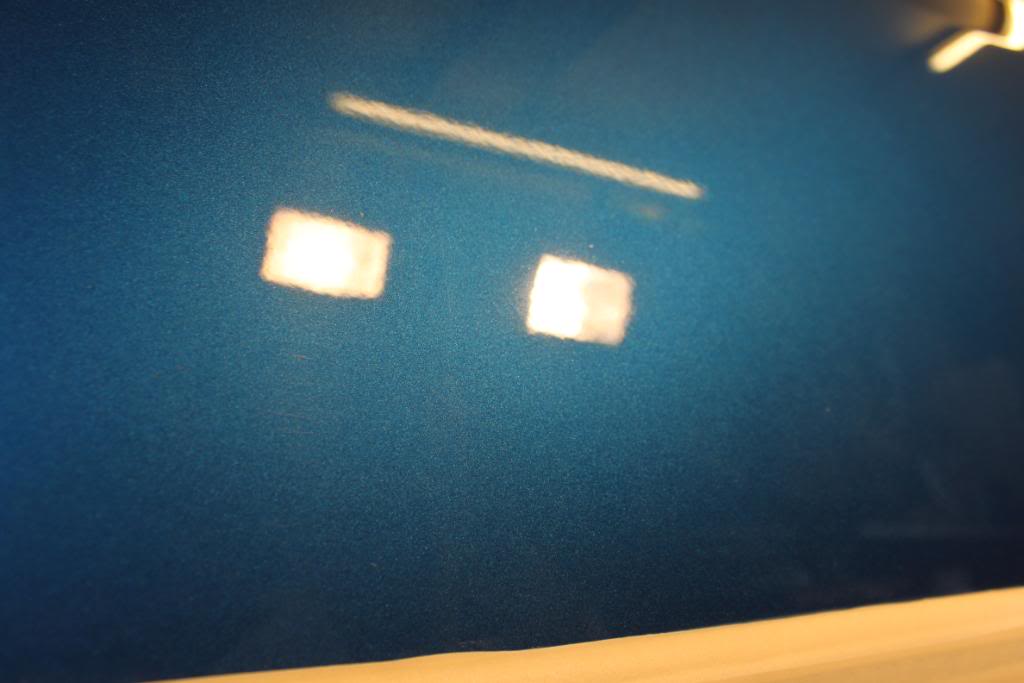 IMG_8284.jpg