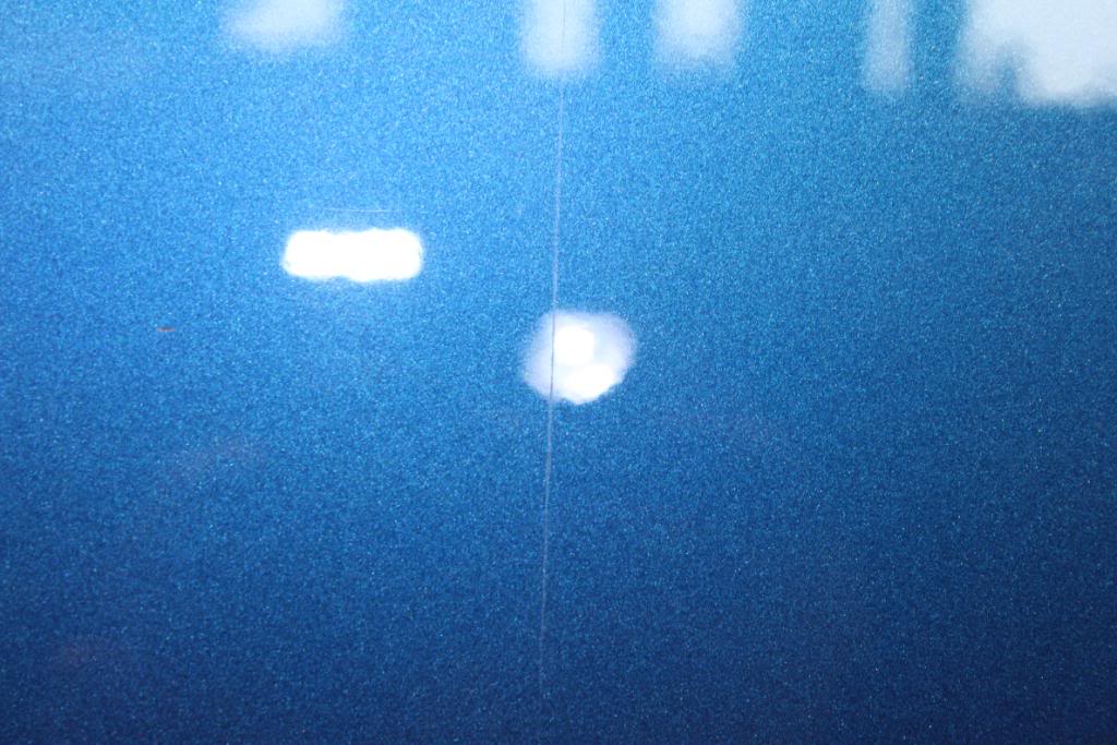 IMG_8313.jpg