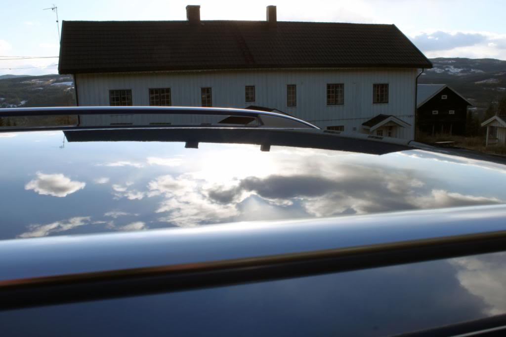 IMG_8381.jpg