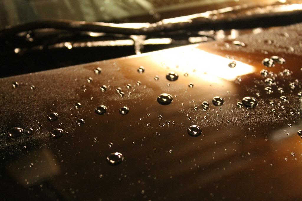 IMG_8397_zpsc29009f4.jpg