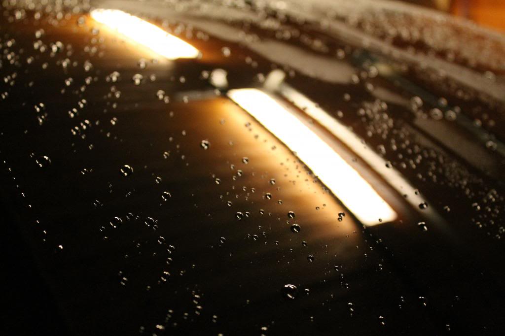 IMG_8407_zps626aa288.jpg