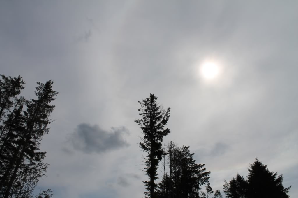 IMG_8660.jpg