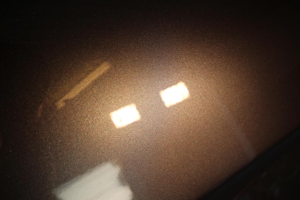 IMG_8746_zps1a07c194.jpg