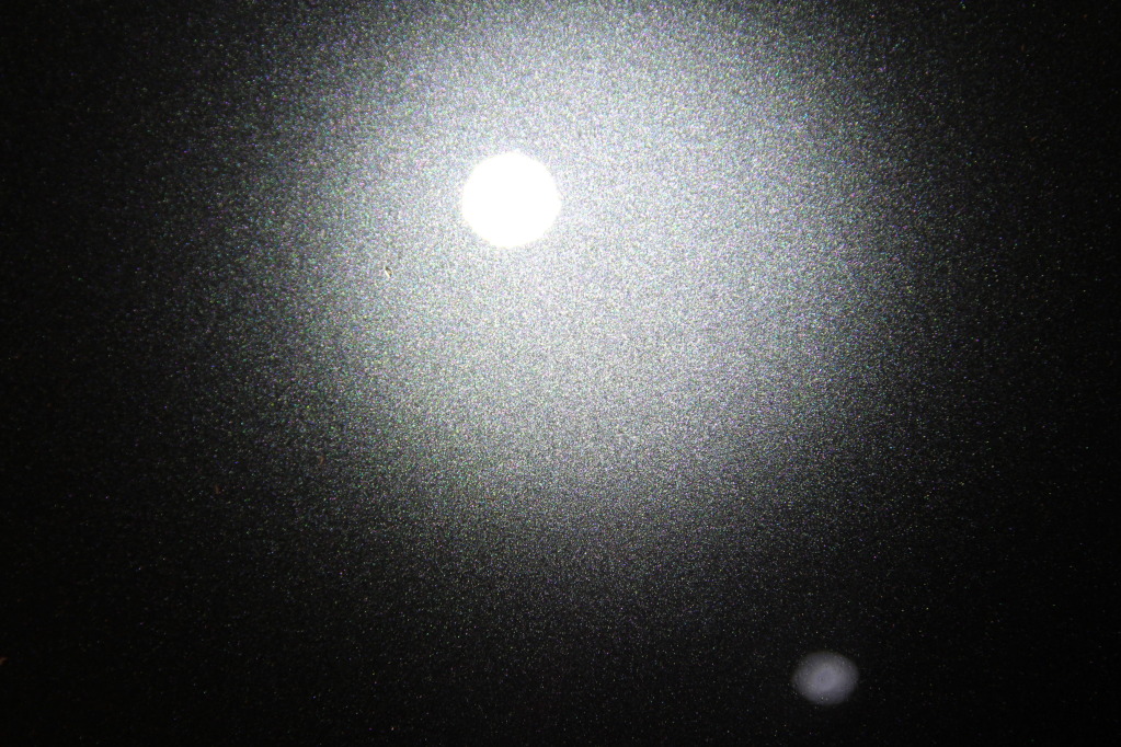 IMG_8830.jpg