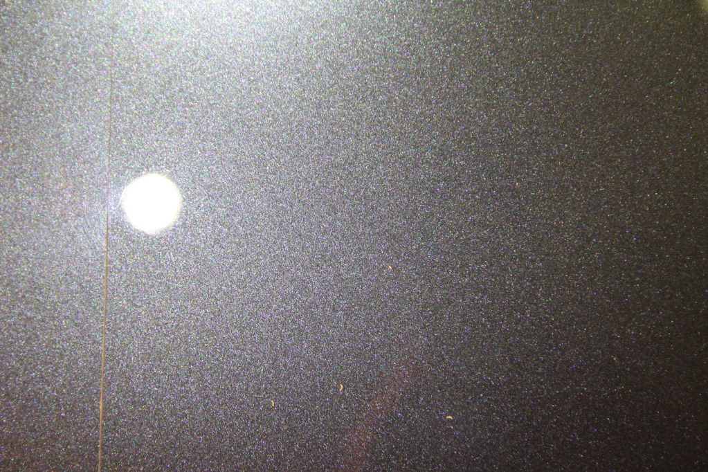 IMG_8831.jpg