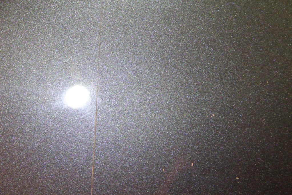 IMG_8832.jpg