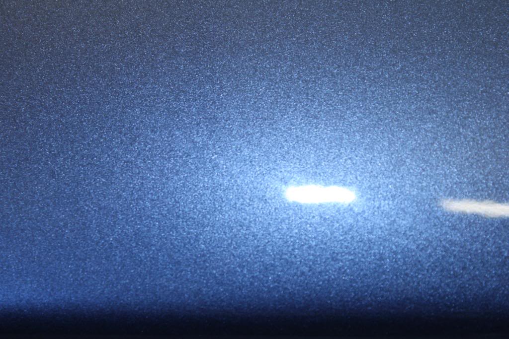 IMG_8913.jpg