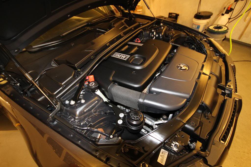 IMG_8935_zps96f96559.jpg