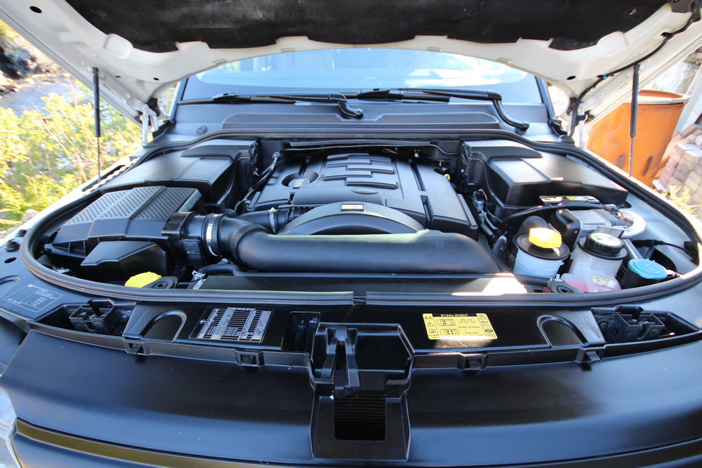 IMG_9369_zps05f922cb.jpg