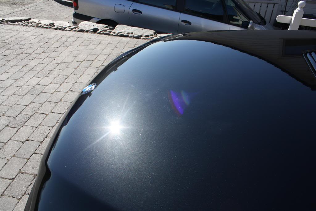 IMG_9431_zps8f7367d3.jpg