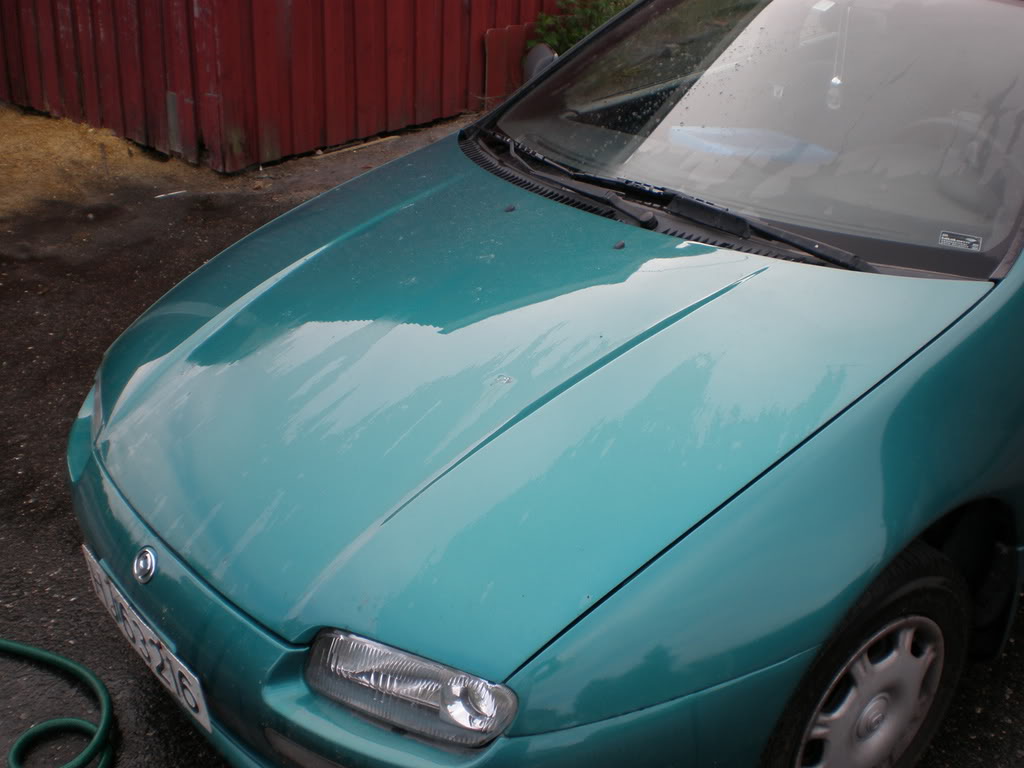 P1010002.jpg