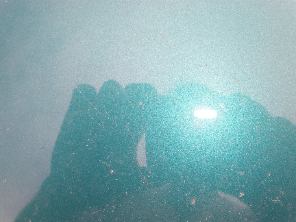 P1010003.jpg