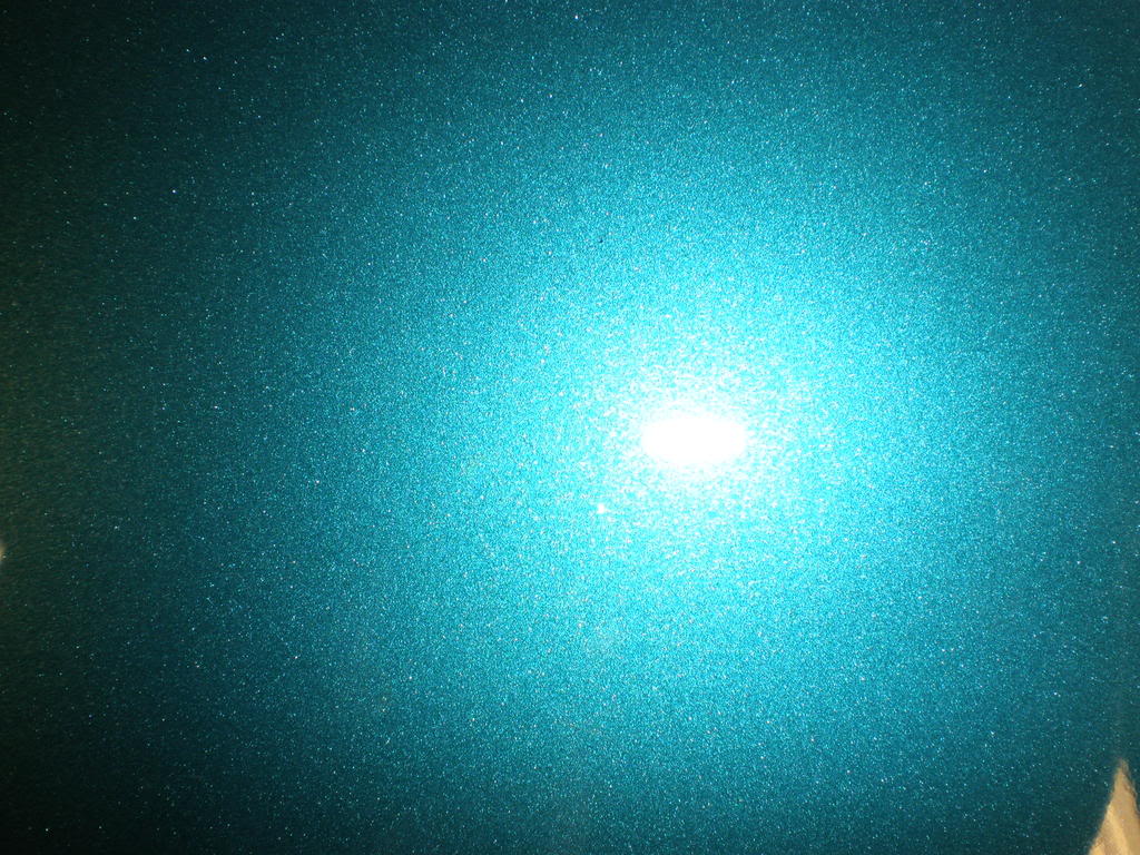 P1010005.jpg