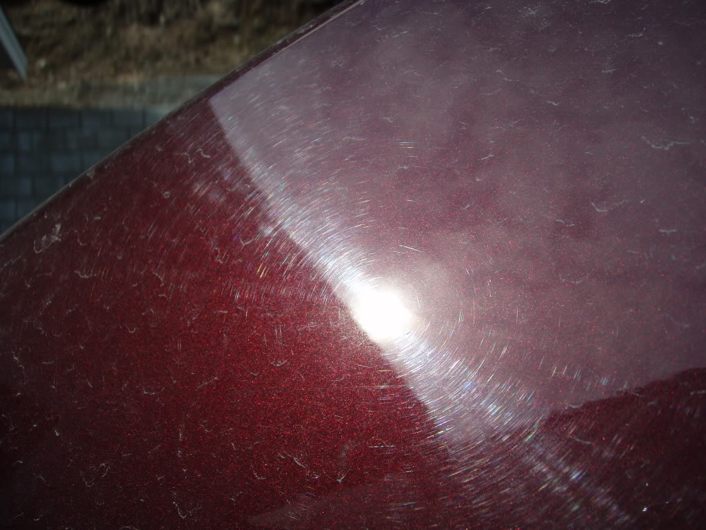 P1010007.jpg