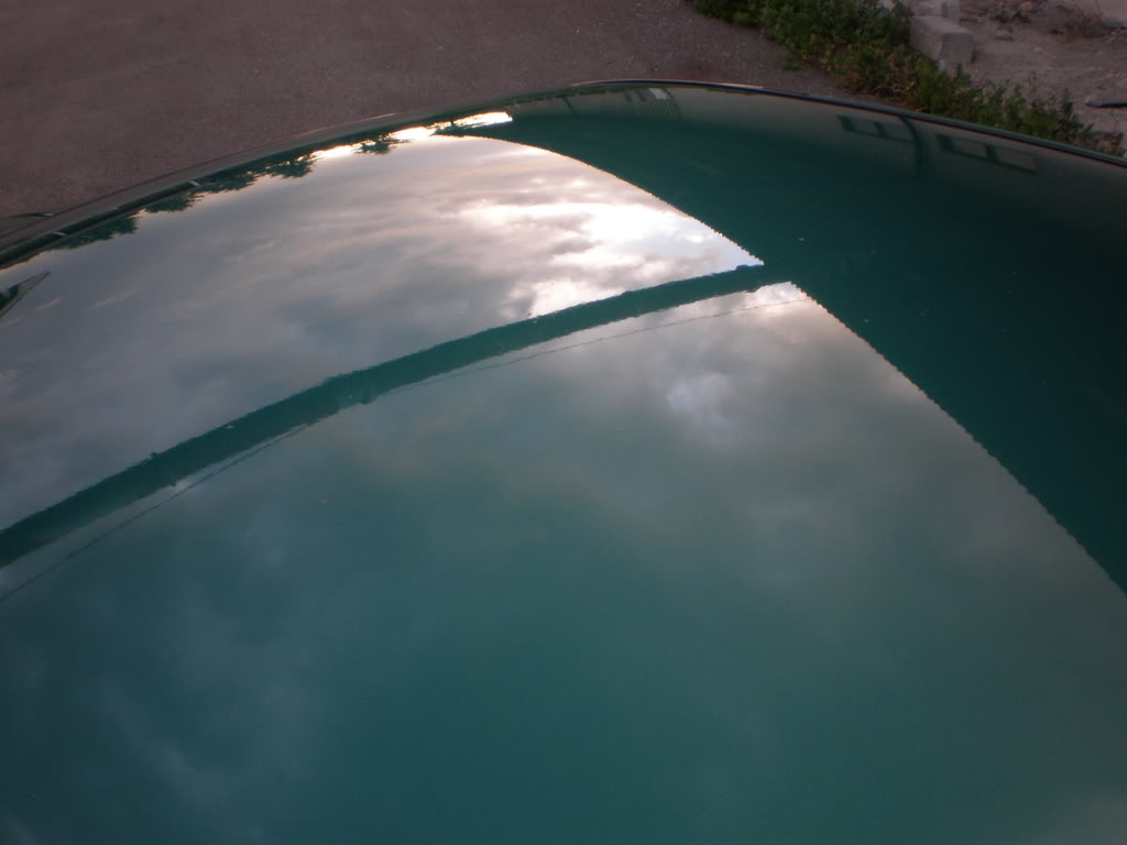 P1010008.jpg