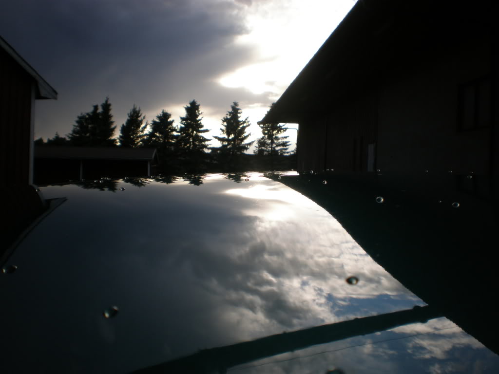 P1010018.jpg
