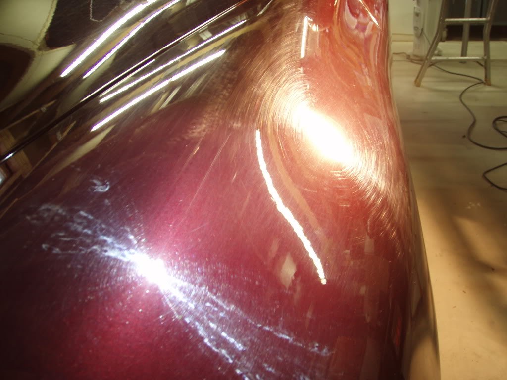 P1010024.jpg