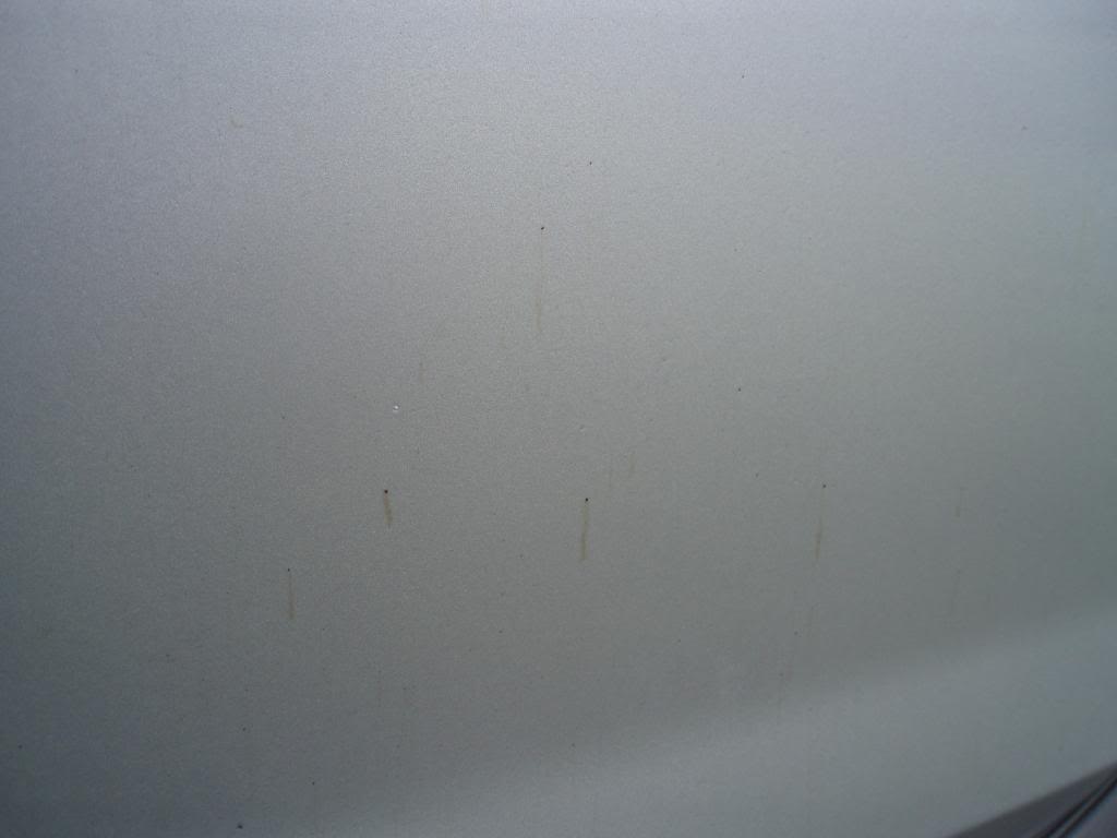 P1010032.jpg