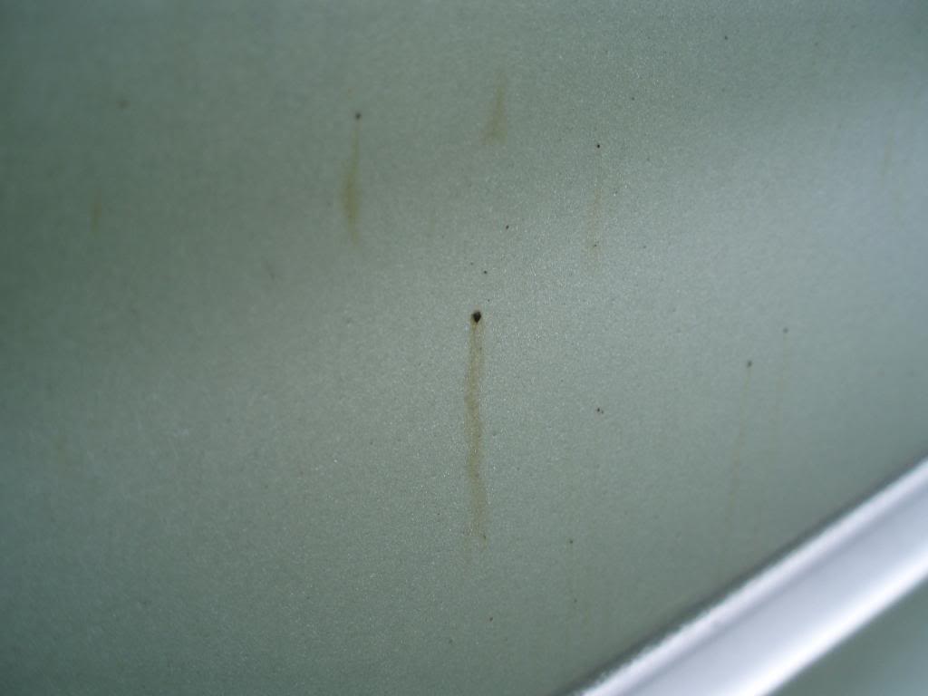 P1010035.jpg