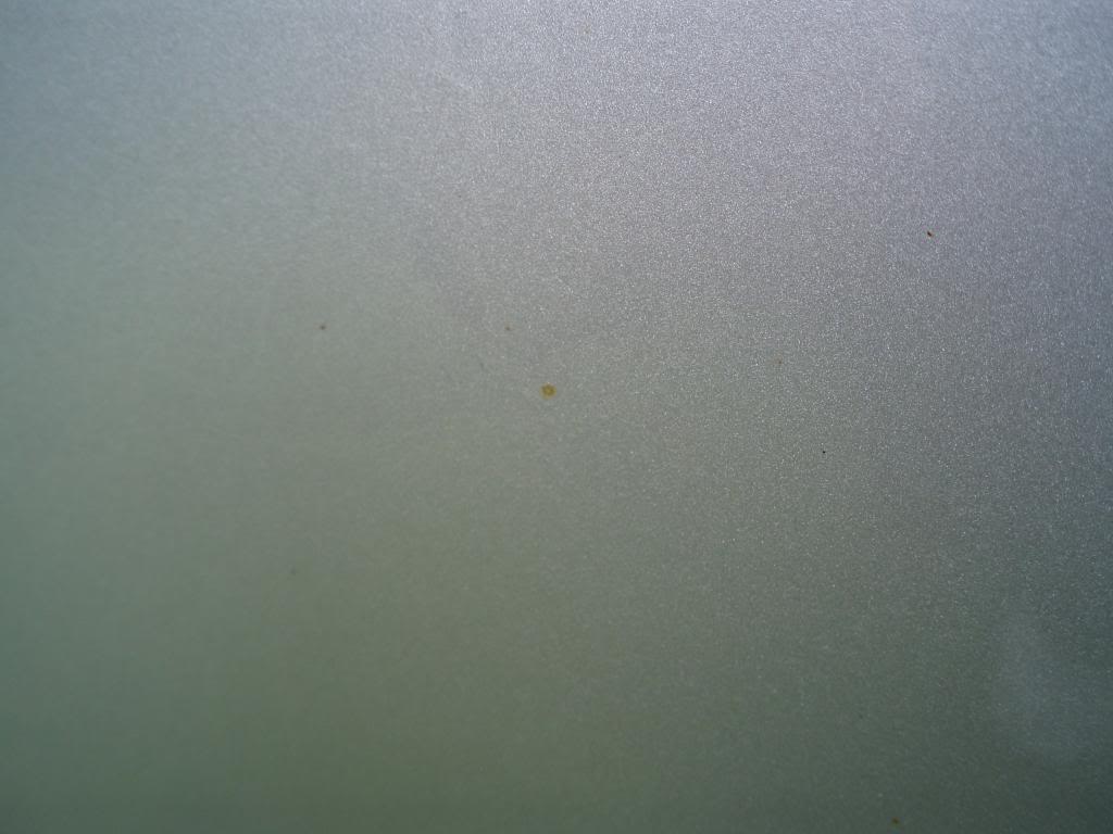 P1010053.jpg
