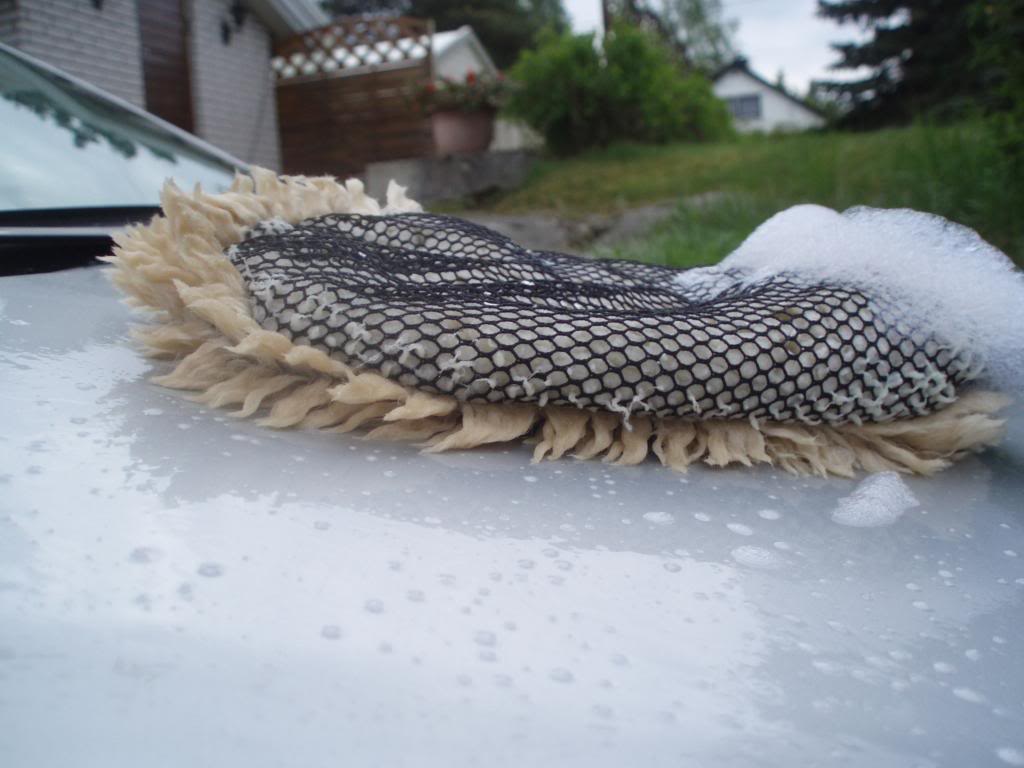 P1010057.jpg